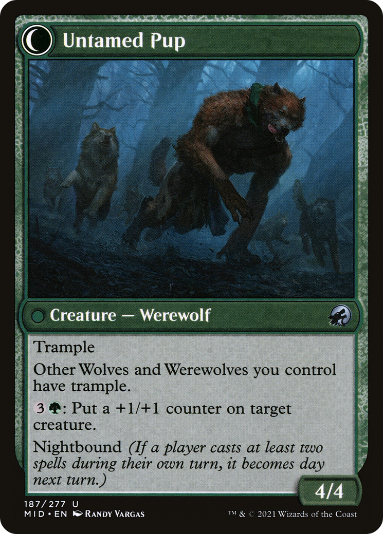 Hound Tamer // Untamed Pup (MID-187) - Innistrad: Midnight Hunt: (Double Faced Transform) Foil