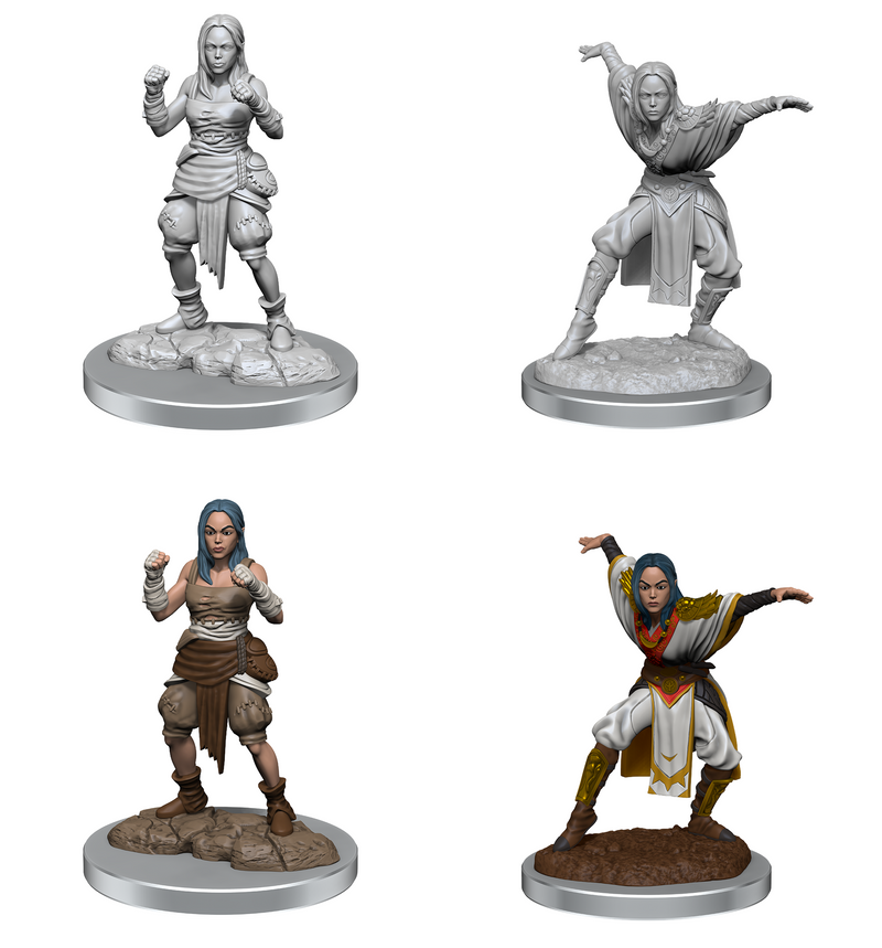 Pathfinder Battles Unpainted Miniatures: Half-Elf Monk Female