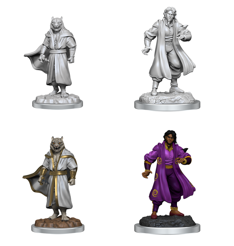 Critical Role Unpainted Miniatures: Male Sorcerer Merchant/Tigr