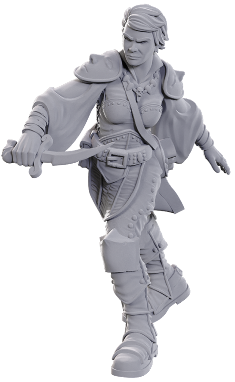 D&D Nolzur’s Marvelous Miniatures: Swashbuckler