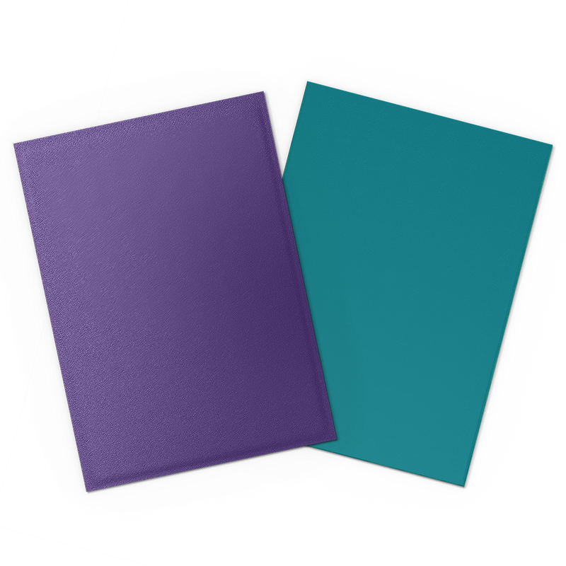 Dragon Shield DUAL Matte Sleeves