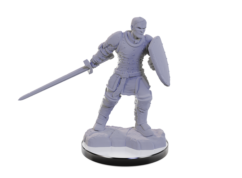 D&D Nolzur’s Marvelous Miniatures: Reborn Paladin/Warlock