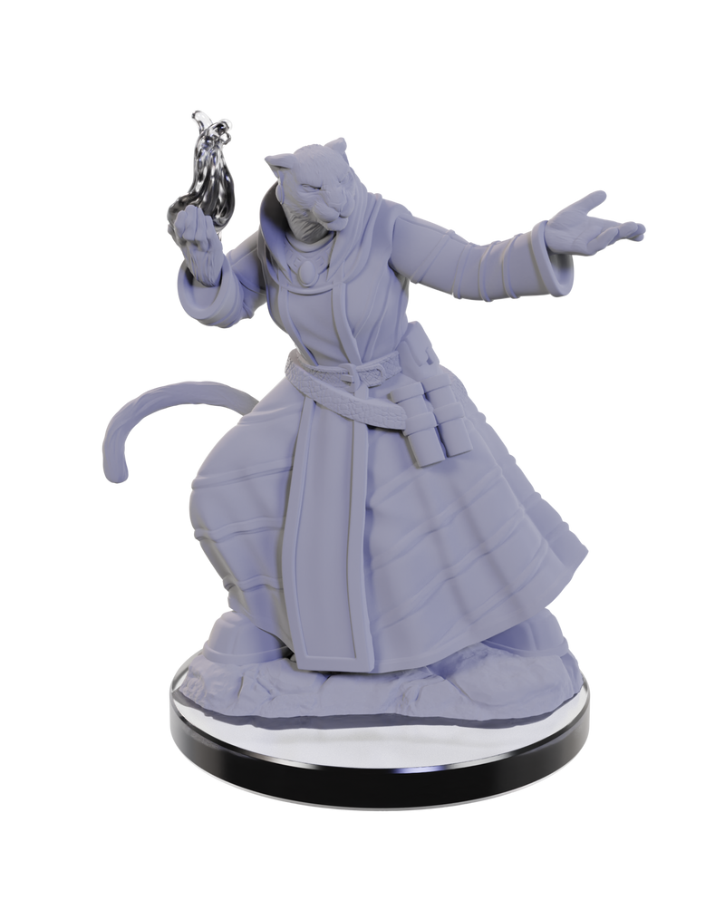 Critical Role Unpainted Miniatures: Lucien/Cree