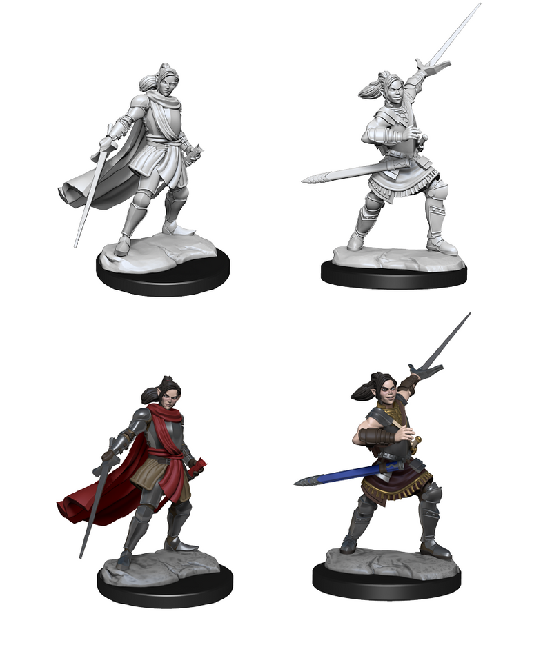 Critical Role Unpainted Minis: Half-Elf Paladin Xhorhas