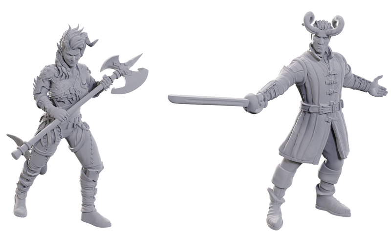 D&D Nolzur's Marvelous Miniatures: Special Edition Baldur's Gate 3 - Wyll & Karlach