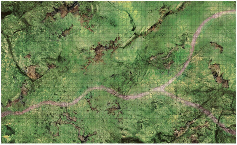 Icons of the Realms Battle Mats