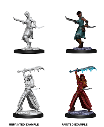 D&D Nolzur's Marvelous Miniatures: Human Female Rogue