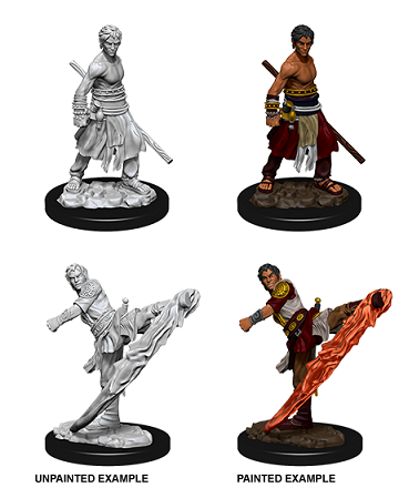 D&D Nolzur's Marvelous Miniatures: Half Elf Male Monk