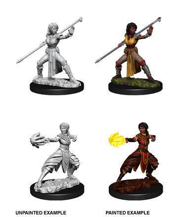 D&D Nolzur's Marvelous Miniatures: Half Elf Female Monk