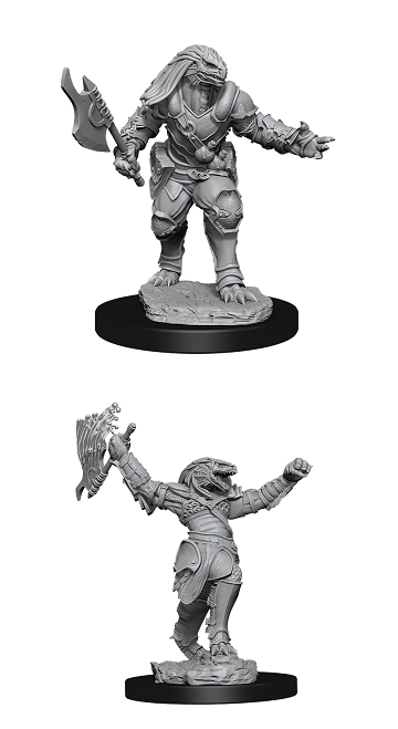 D&D Nolzur's Marvelous Miniatures: Dragonborn Female Fighter