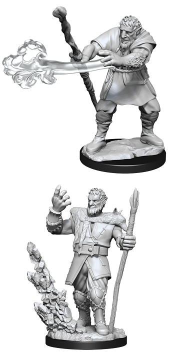 D&D Nolzur's Marvelous Miniatures: Firbolg Male Druid