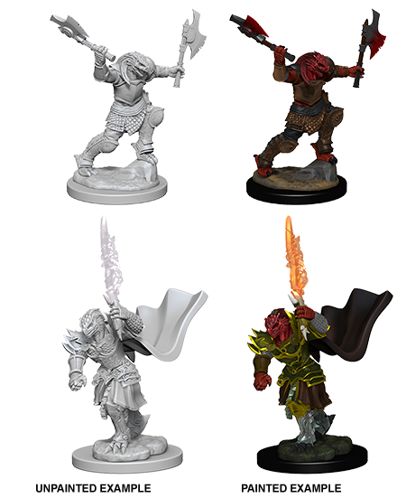 D&D Nolzur's Marvelous Miniatures: Dragonborn Female Fighter