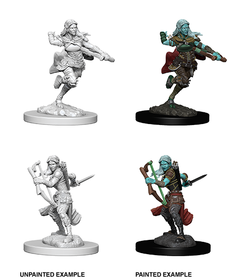 D&D Nolzur's Marvelous Miniatures: Air Genasi Female Rogue