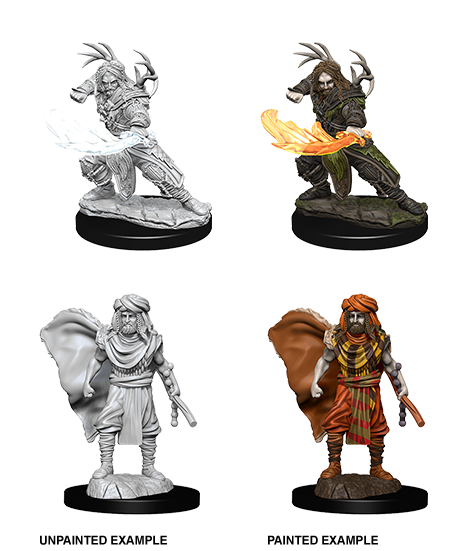 D&D Nolzur's Marvelous Miniatures: Human Male Druid