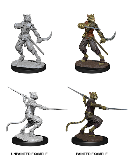 D&D Nolzur's Marvelous Miniatures: Tabaxi Male Rogue
