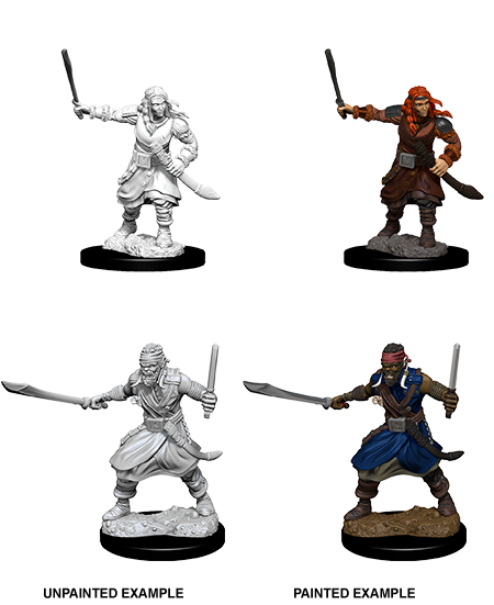 D&D Nolzur's Marvelous Miniatures: Bandits