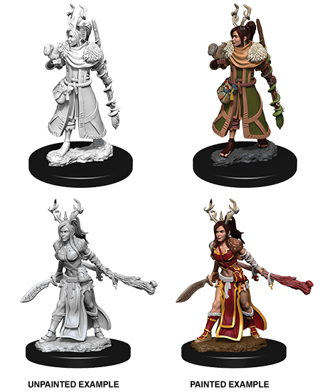 D&D Nolzur's Marvelous Miniatures: Human Female Druid