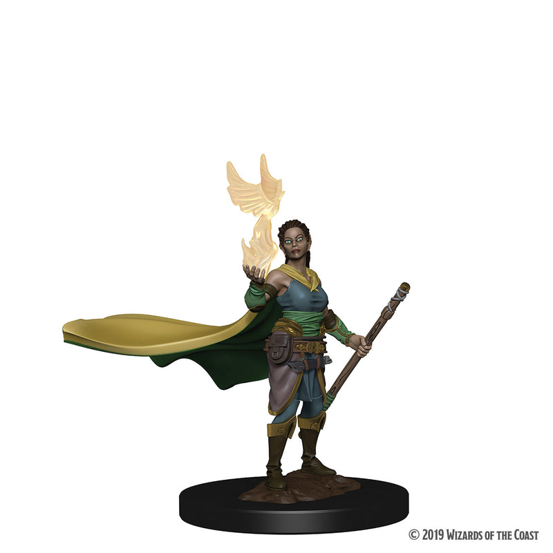 Premium Dungeons & Dragons Figures Wave 1