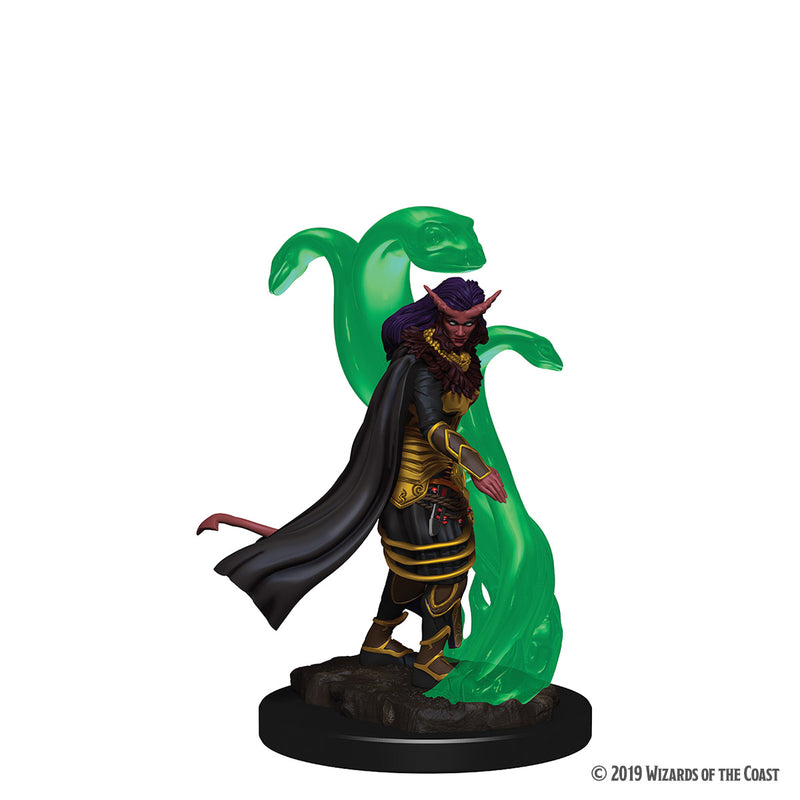 Premium Dungeons & Dragons Figures Wave 1