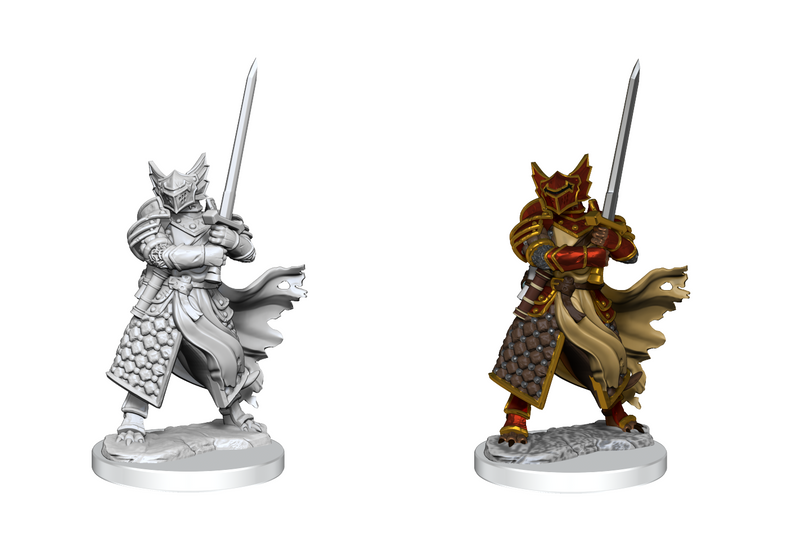 D&D Frameworks Miniatures: Dragonborn Male Paladin