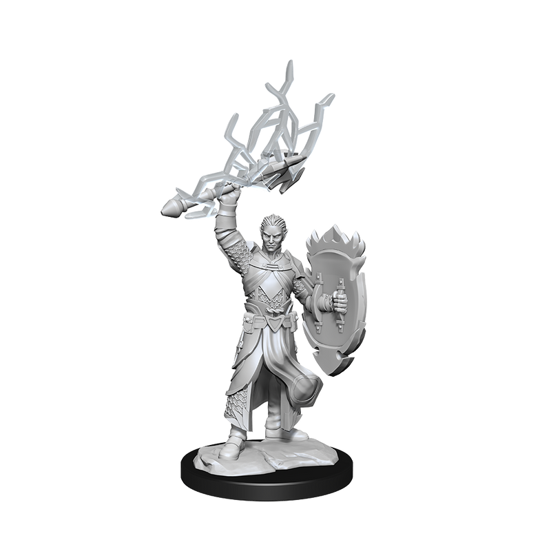 D&D Nolzur's Marvelous Miniatures: Half-Elf Male Paladin