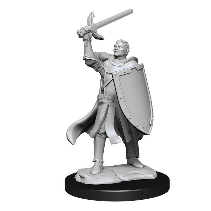 D&D Nolzur's Marvelous Miniatures: Half-Elf Male Paladin