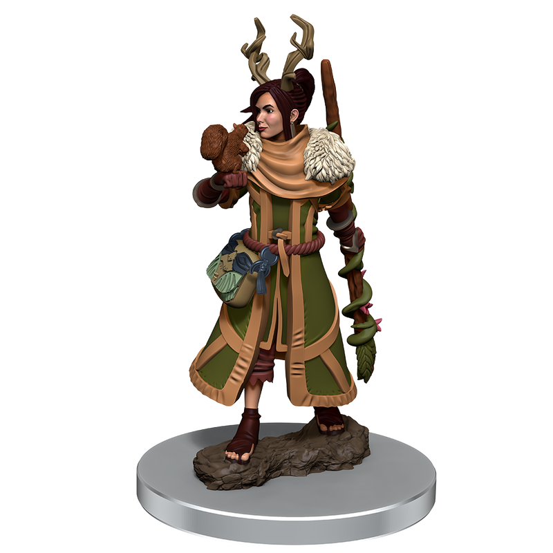 Premium Dungeons & Dragons Figures Wave 7