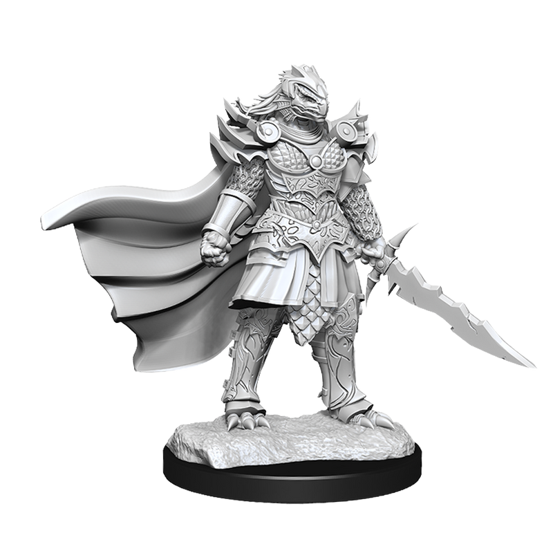 D&D Nolzur's Marvelous Miniatures: Dragonborn Female Fighter