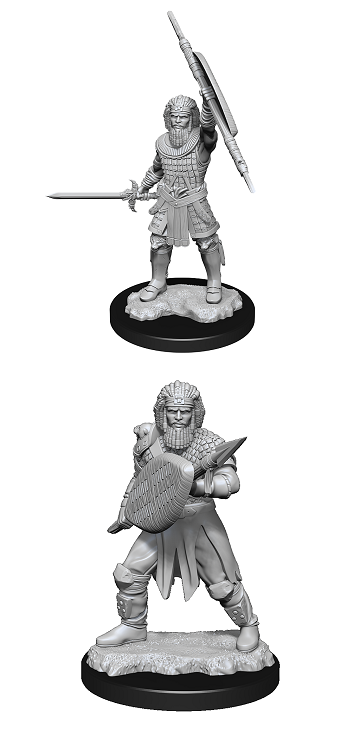 D&D Nolzur's Marvelous Miniatures: HUMAN MALE FIGHTER