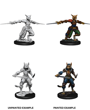 D&D Nolzur's Marvelous Miniatures: Tabaxi Female Rogue