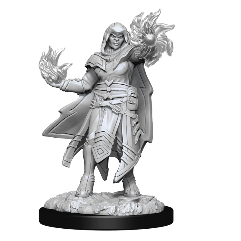 D&D Nolzur's Marvelous Miniatures: Hobgoblin Male & Female