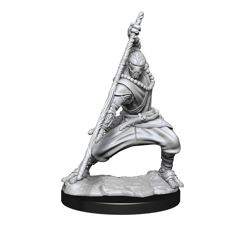 D&D Nolzur's Marvelous Miniatures: Warforged Monk