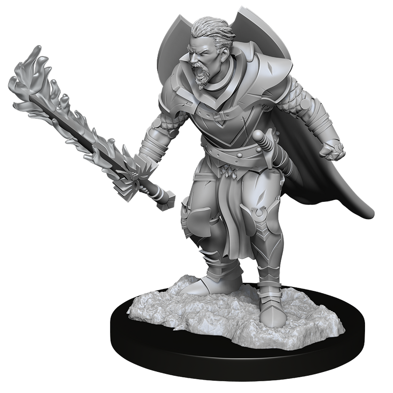 Pathfinder Battles Unpainted Miniatures: Human Male Champion