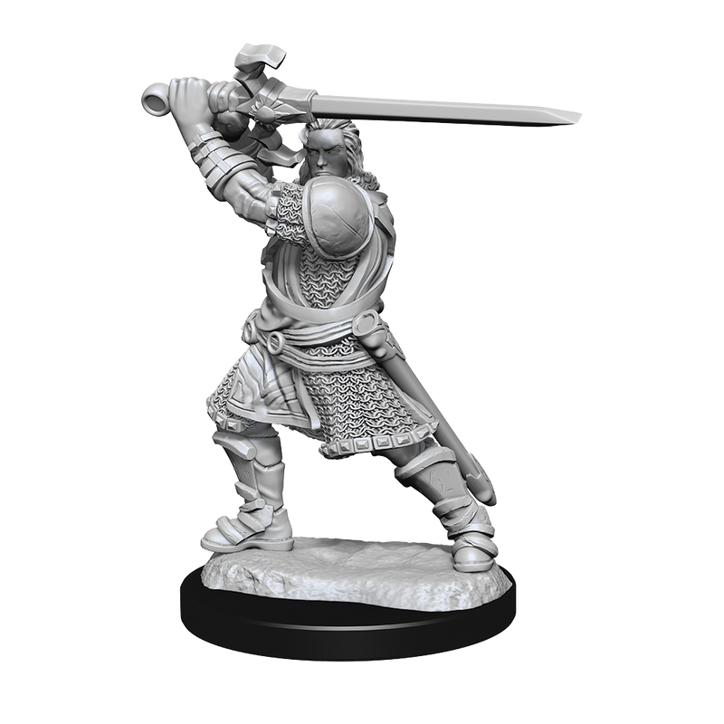 D&D Nolzur's Marvelous Miniatures: Human Male Paladin