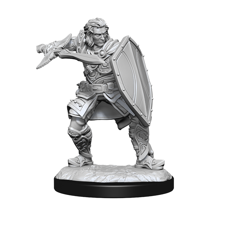 D&D Nolzur's Marvelous Miniatures: Human Male Paladin