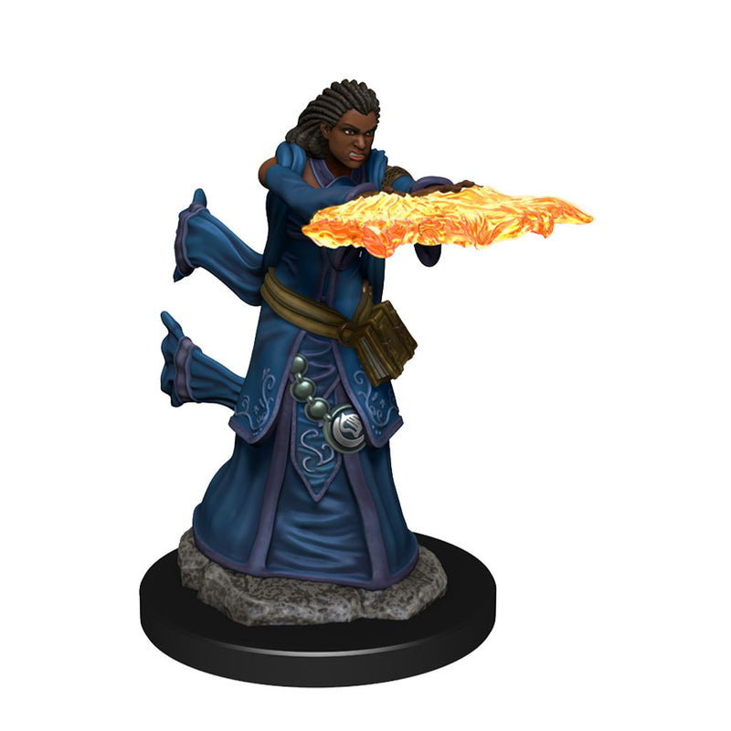 Premium Dungeons & Dragons Figures Wave 5